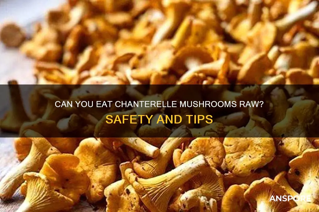 can you eat chanterelle mushrooms raw