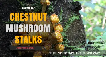 Chestnut Mushroom Stalks: Edible or Not? A Culinary Guide