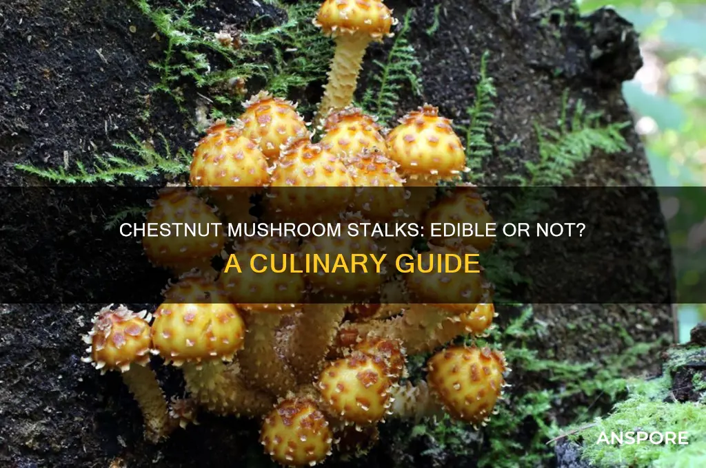 can you eat chestnut mushroom stalks