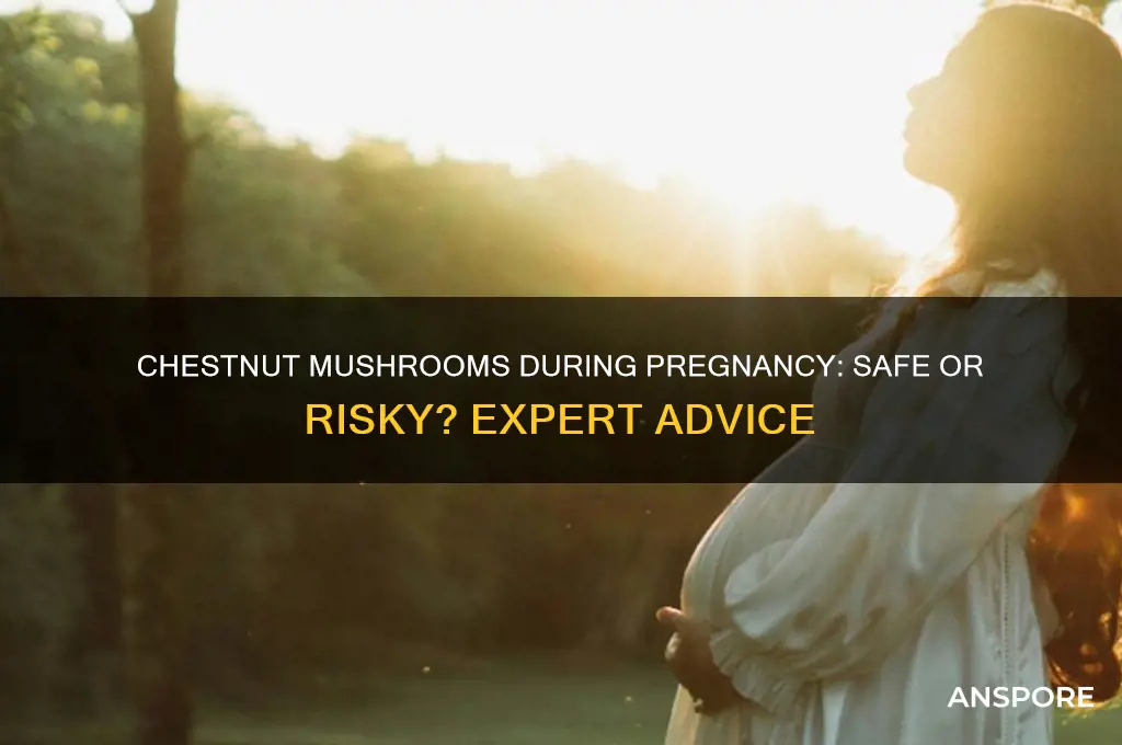can you eat chestnut mushrooms when pregnant