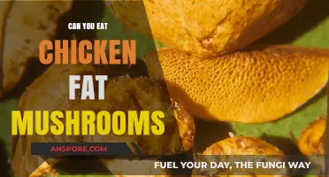 Can You Eat Chicken Fat Mushrooms? A Tasty Guide