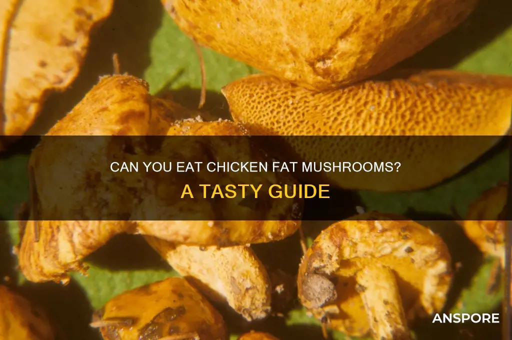 can you eat chicken fat mushrooms