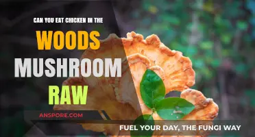 Can You Eat Chicken of the Woods Mushroom Raw? Facts Revealed
