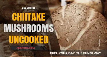 Can You Eat Shiitake Mushrooms Raw? Risks and Benefits Explained