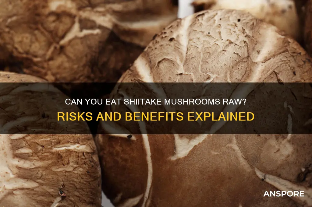 can you eat chiitake mushrooms uncooked