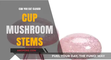 Can You Eat Closed Cup Mushroom Stems? A Tasty Guide