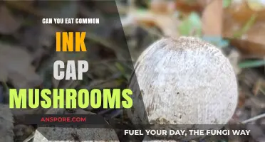 Are Common Ink Cap Mushrooms Edible? A Foraging Guide