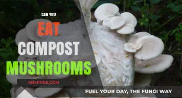 Are Compost Mushrooms Safe to Eat? A Complete Guide