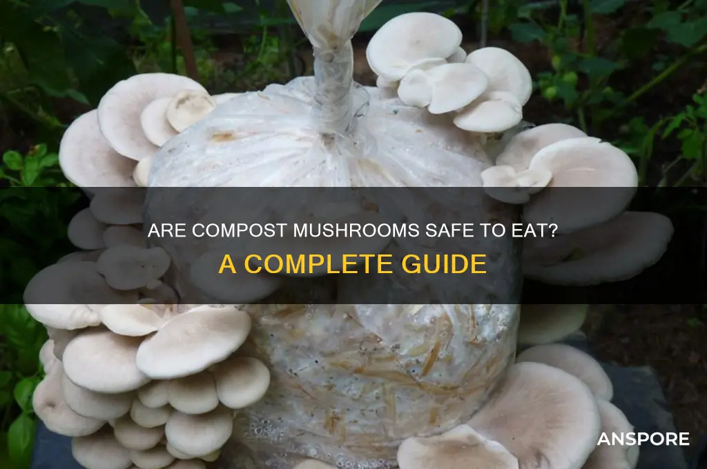 can you eat compost mushrooms