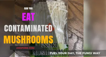 Can You Eat Contaminated Mushrooms? Risks and Safety Tips