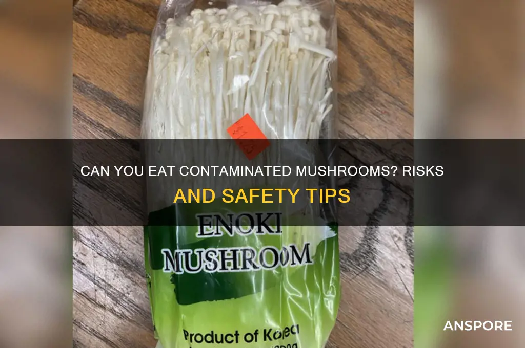can you eat contaminated mushrooms
