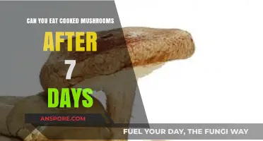 Cooked Mushrooms After 7 Days: Safe to Eat or Toss?