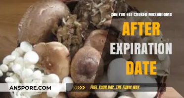 Cooked Mushrooms Past Expiration: Safe to Eat or Toss?