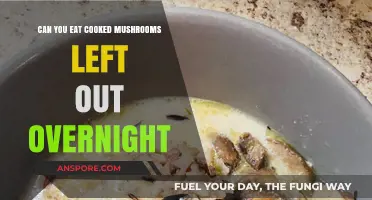 Cooked Mushrooms Left Out Overnight: Safe to Eat or Toss?