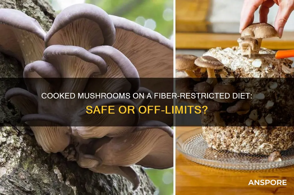 can you eat cooked mushrooms on a fiber-restricted diet