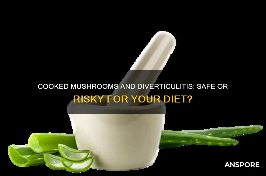 can you eat cooked mushrooms with diverticulitis