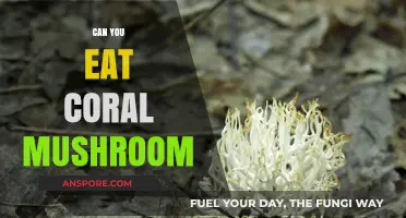 Can You Eat Coral Mushrooms? A Guide to Edibility and Safety