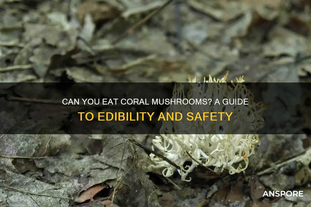 can you eat coral mushroom