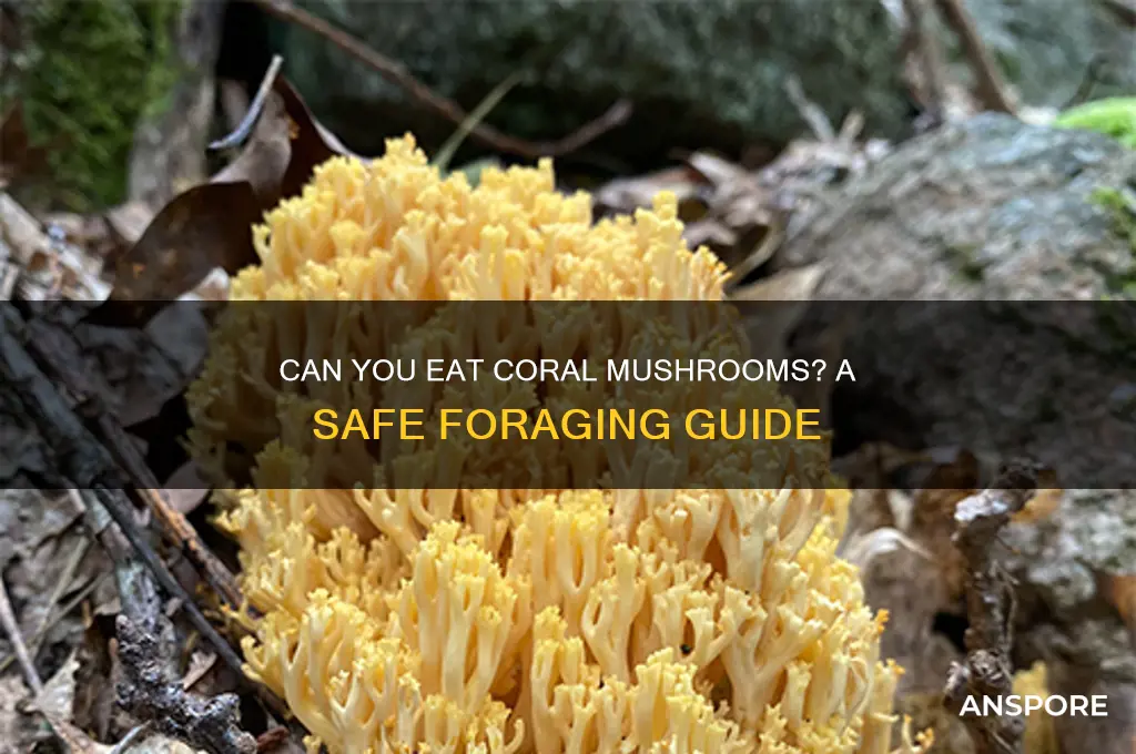 can you eat coral mushrooms