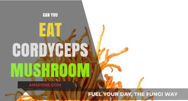 Can You Eat Cordyceps Mushroom? Benefits, Risks, and How to Consume