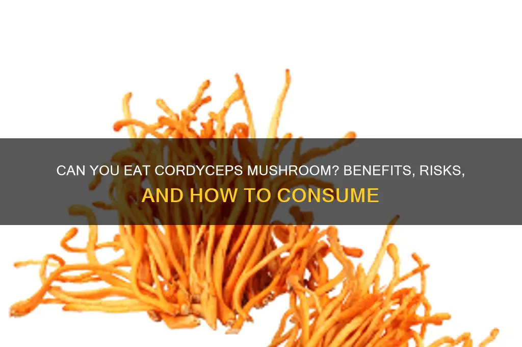 can you eat cordyceps mushroom