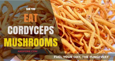 Can You Eat Cordyceps Mushrooms? Benefits, Risks, and How-To Guide