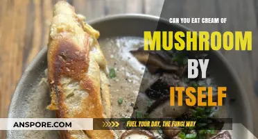 Can You Eat Cream of Mushroom Soup Alone? A Tasty Debate