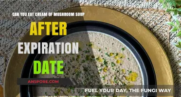 Is Expired Cream of Mushroom Soup Safe to Eat?