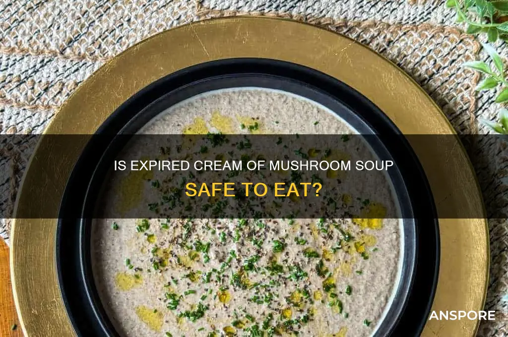 can you eat cream of mushroom soup after expiration date