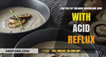 Cream of Mushroom Soup and Acid Reflux: Safe to Eat?