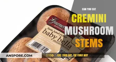 Can You Eat Cremini Mushroom Stems? A Tasty Guide