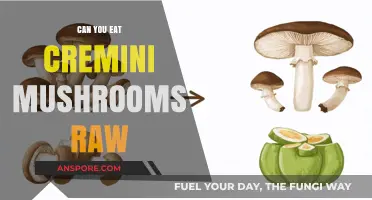 Can You Eat Cremini Mushrooms Raw? Safety and Tips