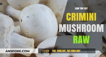 Can You Eat Crimini Mushrooms Raw? Safety and Tips