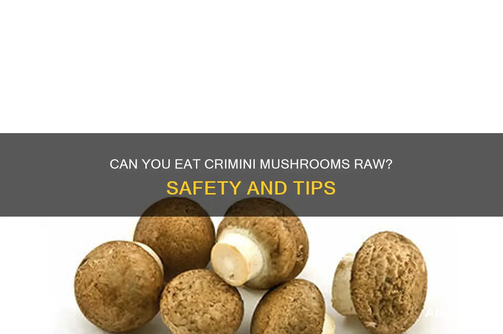 can you eat crimini mushrooms raw