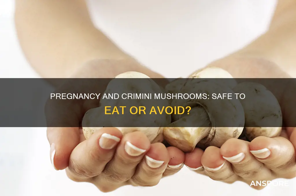 can you eat crimini mushrooms while pregnant