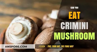 Can You Eat Crimini Mushrooms? A Tasty Guide to Their Benefits