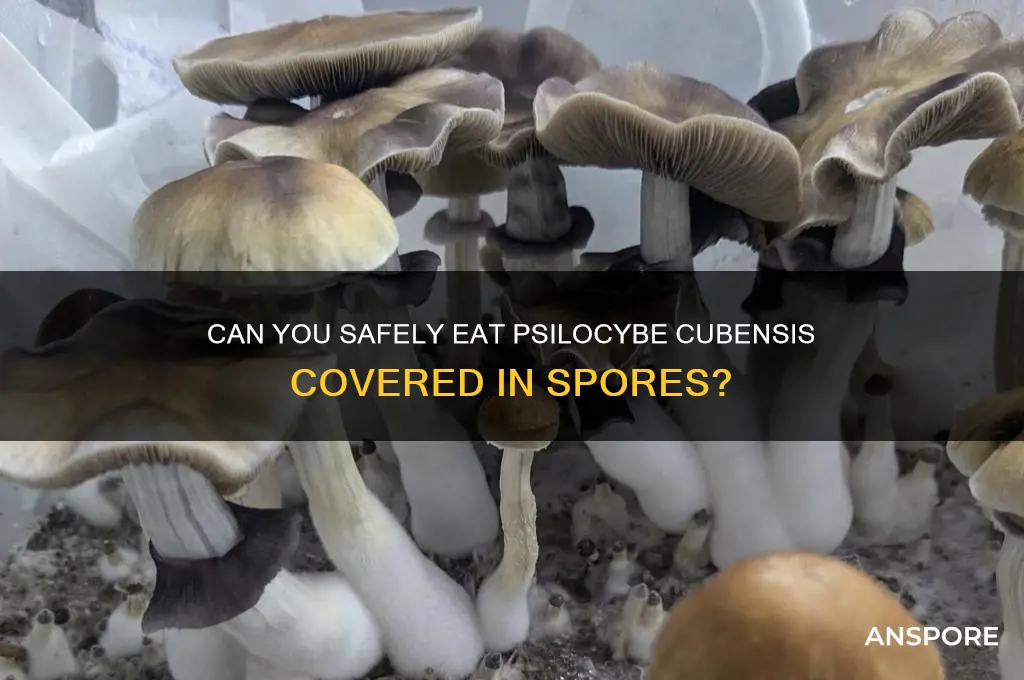 can you eat cubensis covered in spores
