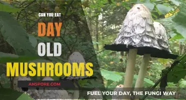 Are Day-Old Mushrooms Safe to Eat? A Quick Guide