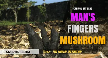 Can You Eat Dead Man's Fingers Mushroom? Risks and Facts