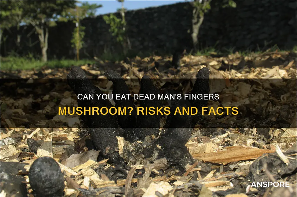 can you eat dead man