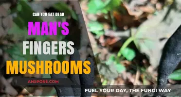 Can You Eat Dead Man's Fingers Mushrooms? A Tasty or Toxic Treat?