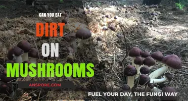Eating Dirt on Mushrooms: Safe, Risky, or Just Plain Weird?