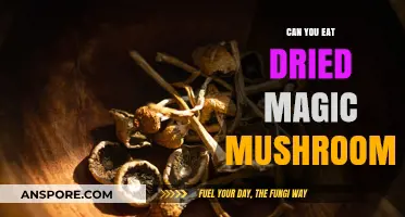 Can You Eat Dried Magic Mushrooms? Risks, Effects, and Safety Tips