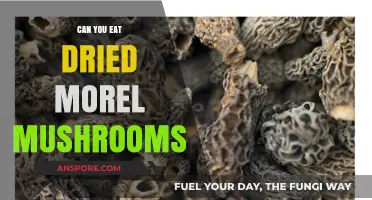 Can You Eat Dried Morel Mushrooms? A Tasty Guide