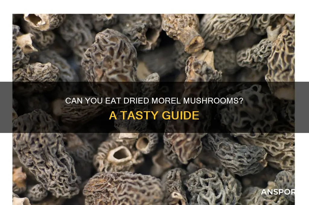 can you eat dried morel mushrooms