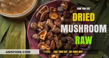 Can You Eat Dried Mushrooms Raw? A Safe Consumption Guide