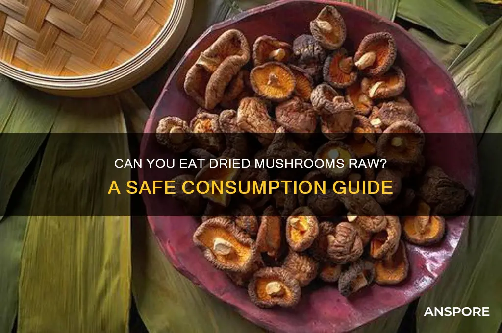 can you eat dried mushrooms raw