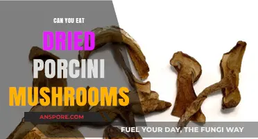 Can You Eat Dried Porcini Mushrooms? A Tasty Guide