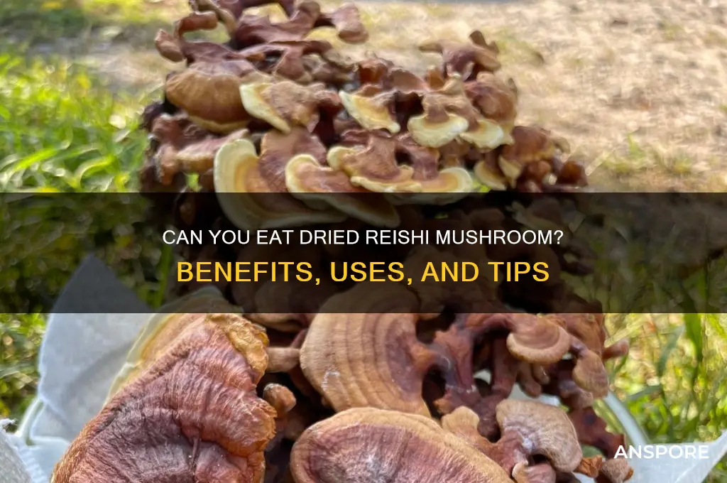 can you eat dried reishi mushroom