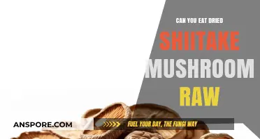 Can You Eat Dried Shiitake Mushrooms Raw? A Quick Guide